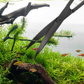 Miniatyrbilde 4 av 8: Plantesaks, rustfritt stål, albue saks, svart KLB