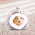 Miniatyrbild 5 av 7: Balacoo Igelgos Snuggle Sack - Råtta Hamster Hus Säng Vinter Varm Fleece Liten KLB
