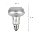 Miniatyrbillede 2 af 5: Intens Spotlampe til afslapning, 220v 60W kæledyrsvarmepære