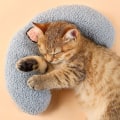 Miniatyrbillede 1 af 4: Lille pude til katte, ultra blød og fluffy beroligende legetøj til kæledyr, halv donut cuddler til led lindring, forbedre søvn, maskinvaskbar.