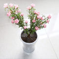 Miniatyrbillede 8 af 8: Blomsterpot gitter - blomsterbeskyttelse