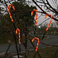 Pikkukuva 7 / 8: Aurinkokäyttöiset LED-puutarhavalot, karkkikepit, 5 kpl (LED-karkkikepit)