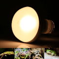 Miniatyrbillede 1 af 5: Intens Spotlampe til afslapning, 220v 60W kæledyrsvarmepære