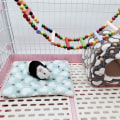 Miniatyrbild 5 av 5: 5-pack Love Pet Pad Vit/Grå Hamster Totoro Kanin Värmeplatta Grön (Färg) KLB