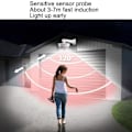 Miniatyrbillede 3 af 7: Solsimuleringskamera-overvågningslys, menneskekropsinduktionsvæglampe