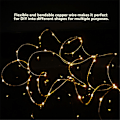 Miniatyrbild 8 av 8: Batteridrivna 20 LED koppartråds ljusslingor för jul KLB