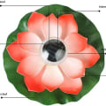 Miniatyrbillede 3 af 5: Solcelledrevet svømmende lotuslampe til swimmingpool - Vandtæt LED-blomsterhavebelysning