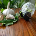 Miniatyrbillede 2 af 5: Garliczoom Hvidløg Hakker Køkken Gadget Rulle Hvidløg Hakker Manuel Hurtig Hvidløg Mølle Mini Hvidløg Vogn, En Størrelse, Sort
