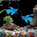Miniatyrbilde 5 av 8: Kunstig fisk silikon fisk silikon gullfisk Betta Blå KLB