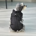 Miniatyrbillede 2 af 5: Savlot Hundejakke Vinter Vest Jakker Hunde Frakke Hunde Trøje Kæledyr Ski Kostume KLB