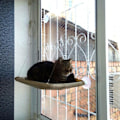 Miniatyrbilde 4 av 6: Katt Vindusseter Vindusbenk Kattehenger + Katteteppe, Solbad KLB