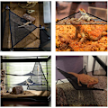 Miniatyrbild 4 av 4: 2 st Mesh Reptilhängmattor, Mesh Ödla Hängmatta, Reptil Ödla Hängmatta, för Reptiler Som Ödlor, Ormar, Gecko