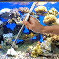 Miniatyrbild 5 av 5: Akvarieverktygssats Tillbehör Akvarietank Vattenväxttång Sax Verktygssats Fisk Startpaket KLB