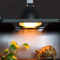 Miniatyrbillede 6 af 8: Reptillampe skærm, keramisk varme UVA/UVB 5,5 tommer KLB