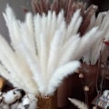 Miniatyrbilde 1 av 5: 30 stk Pampasgress, Naturlig Pampasgress Tørket Pampasgress Phragmites Tørket Blomsterbukett Hjemmedekorasjon KLB