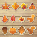 Miniatyrbild 4 av 5: Höstkakformar Thanksgiving-kakformar Lövkakform KLB