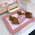 Miniatyrbillede 7 af 7: Hundesenge til små og mellemstore hunde og katte. M(21.2x17x2.3) KLB