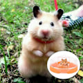 Pikkukuva 5 / 7: Hamsterin lemmikkikylpyhuone, Chinchilla-kylpyhuone, muovinen hamsteri KLB
