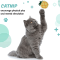 Miniatyrbild 4 av 6: 20 st inomhus kattmyntaleksaker katt plysch söt kattunge KLB