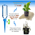 Miniatyrbillede 3 af 5: Pcs Blå Automatisk Vanding Spikes System Terrasse Hjem Plante Pot Vandkande Værktøjer KLB