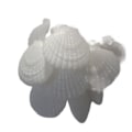 Pikkukuva 1 / 5: Ocean Seashell 10/20 vedenpitävät lämpimän valkoiset paristokäyttöiset LED-valosarjat ranta-aiheiseen sisustukseen