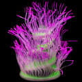 Miniatyrbillede 8 af 8: Fri form Hav Anemone Koraller Blød Silikone Gel Bevæger Lilla KLB
