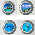 Miniatyrbild 1 av 5: Fyra delar set (35x35cm) 3D havsliv fisk väggdekaler för badrum, undervattens haj väggkonst för barnrum, delfin ocean väggdekor