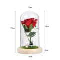 LED-dekoration rose og LED-lys i glaskuppel rosesæt