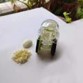 Miniatyrbillede 4 af 5: Garliczoom Hvidløg Hakker Køkken Gadget Rulle Hvidløg Hakker Manuel Hurtig Hvidløg Mølle Mini Hvidløg Vogn, En Størrelse, Sort
