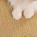 Miniatyrbilde 6 av 8: Kjølematte for kattunger og valper, Rattan kjæledyrpute for katter, liten M (19,7x15,75x1,1) KLB