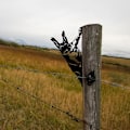 Miniatyrbillede 3 af 5: Metal hegn havedekoration udendørs dekoration hjem have