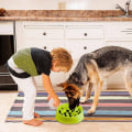 Miniatyrbillede 4 af 6: Decyam langsomt foderhundemad, interessant interaktivt hundemad, KLB
