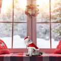Miniatyrbild 4 av 5: Katt Juldräkt Husdjur Jultomte Cape med Klockor Söta KLB