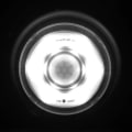 Miniatyrbild 8 av 8: 6LED IR rörelsesensor nattlampa ljusstyrka justerbar KLB