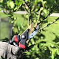Miniatyrbilde 2 av 7: Beskjæringssaks, Beskjæringssaks, 8\" Profesjonell, Hage