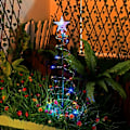 Miniatyrbillede 3 af 5: Julelys guirlande stjerneformet juletræ pyntet med farverige lys LED solcelledrevet juletræ KLB