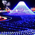 Pikkukuva 3 / 4: 100M 1000 LED ulkojouluvalosarja KLB