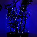 Miniatyrbild 4 av 4: 22M Solcellslampor 200 LED 8 Ljus Idealisk Fe-ljus för Fester, Bröllop, Födelsedagar och Utomhusträdgårdar (Blå) [Energiklass A+++]