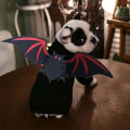 Miniatyrbillede 2 af 4: Kattekostume | Bedårende unikt Halloween-kattekostume til kattekilling, hvalp, lille hund - kæledyrstøj til små hunde og katte (velegnet til alle katte og kæledyr)