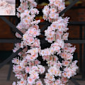 Miniatyrbillede 5 af 8: Kunstig kirsebærblomst guirlande lyserød 1,8 m, til bryllup fest, sæt af 2