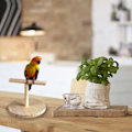 Miniatyrbild 3 av 5: Fågelträning Stativ Bärbar Bord Fågel Sittpinne Spin Log KLB