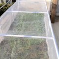 Miniatyrbillede 4 af 7: Have net, ultra-fint have net drivhus beskyttelse net