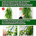 Miniatyrbillede 2 af 5: 2 stk. Kunstige Persiske Blad Rattan Væghængning, Kunstig Rattanplantevæg, Bryllupsdekoration til Hjemmet og Udendørs