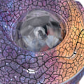 Miniatyrbilde 2 av 8: Dinosaur egg stjerneprojektor, justerbar vinkel, hvit støy KLB