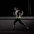 Miniatyrbillede 3 af 5: Pcs Usb Led Sikkerhedslys-Lyst Cykel Baglygte Fungerer Fremragende Som Løbelys Til Joggere, Kæledyr, Cykel Strobe Eller Bagpå Klip På Rød
