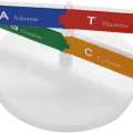 Miniatyrbilde 8 av 8: 2PCS Kids DNA-modellsett Dobbel Helix Gener DNA-modeller Biologisk Vitenskap KLB