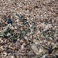 Miniatyrbillede 3 af 5: Taktisk Mesh Halstørklæde Udendørs Sports Kylling Camouflage Stor Grøn