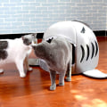 Miniatyrbild 5 av 5: Husdjursbädd inomhus för små hundar och katter, bärbar hopfällbar haj 2 i 1 bo soffa varm