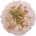 Miniatyrbilde 3 av 5: Silke Hortensiahoder Kunstige Blomsterhoder for Hjemme Bryllupsdekor, Pakke med 10 light pink