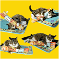 Miniatyrbild 4 av 5: Fisk katt sparkar leksaker för inomhus kattungar, 3-pack